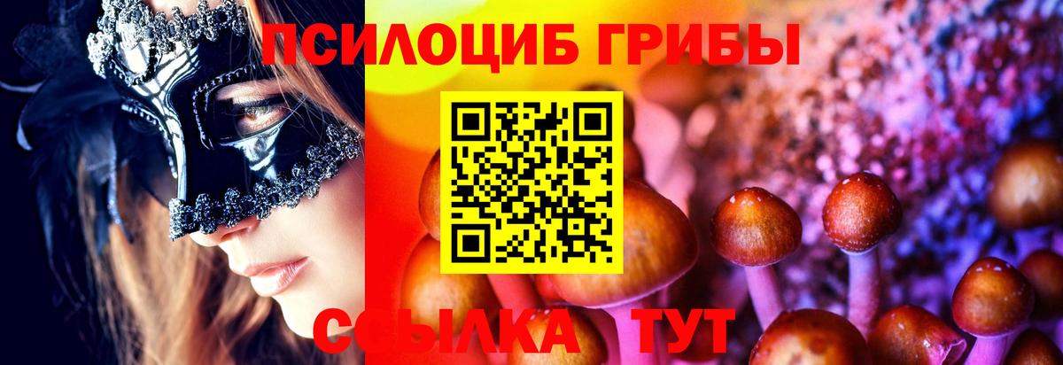 Псилоцибиновые грибы Psilocybine cubensis Фрязино